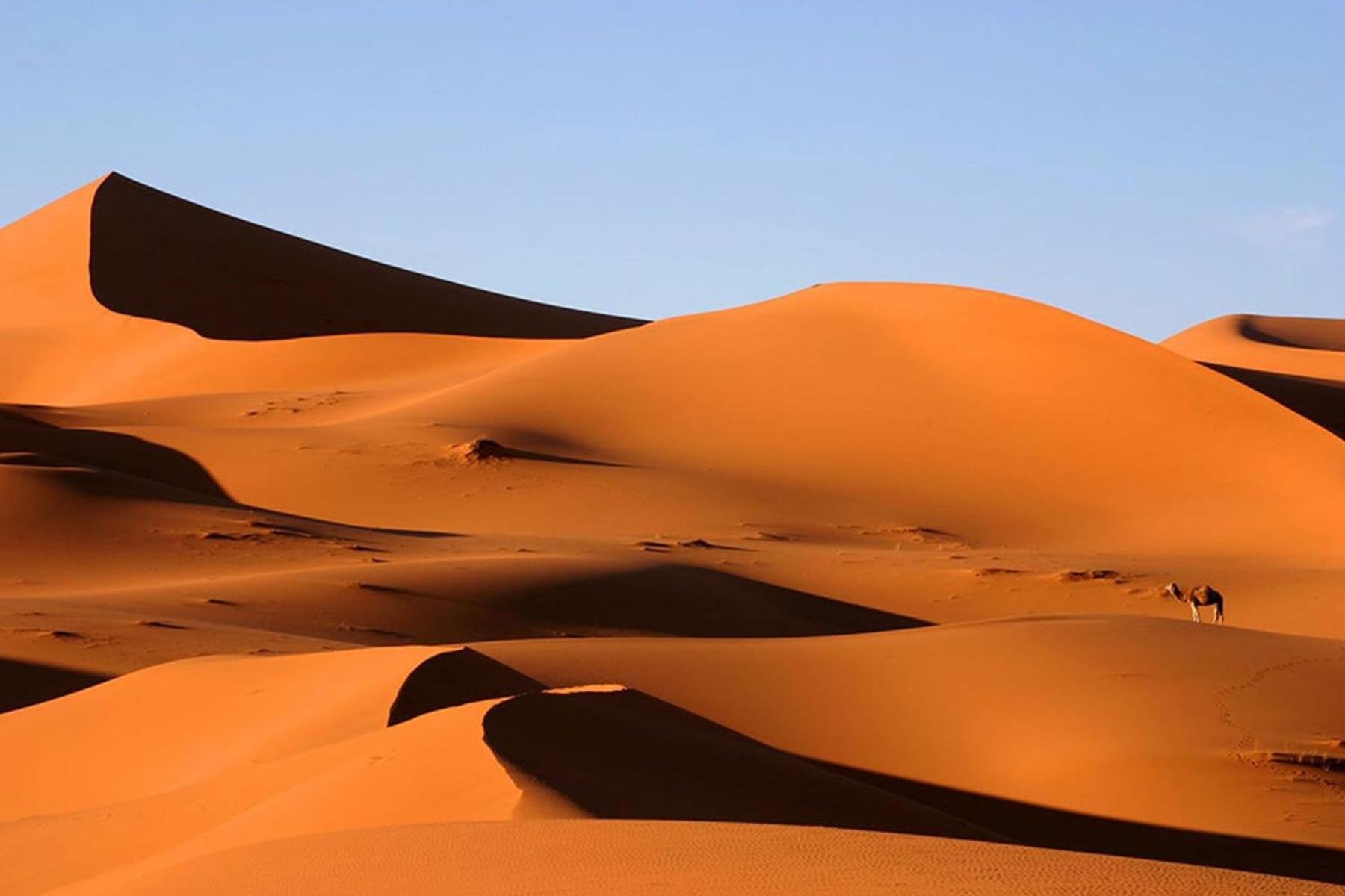 Desert Chegaga Luxury Camp El Gouera 外观 照片