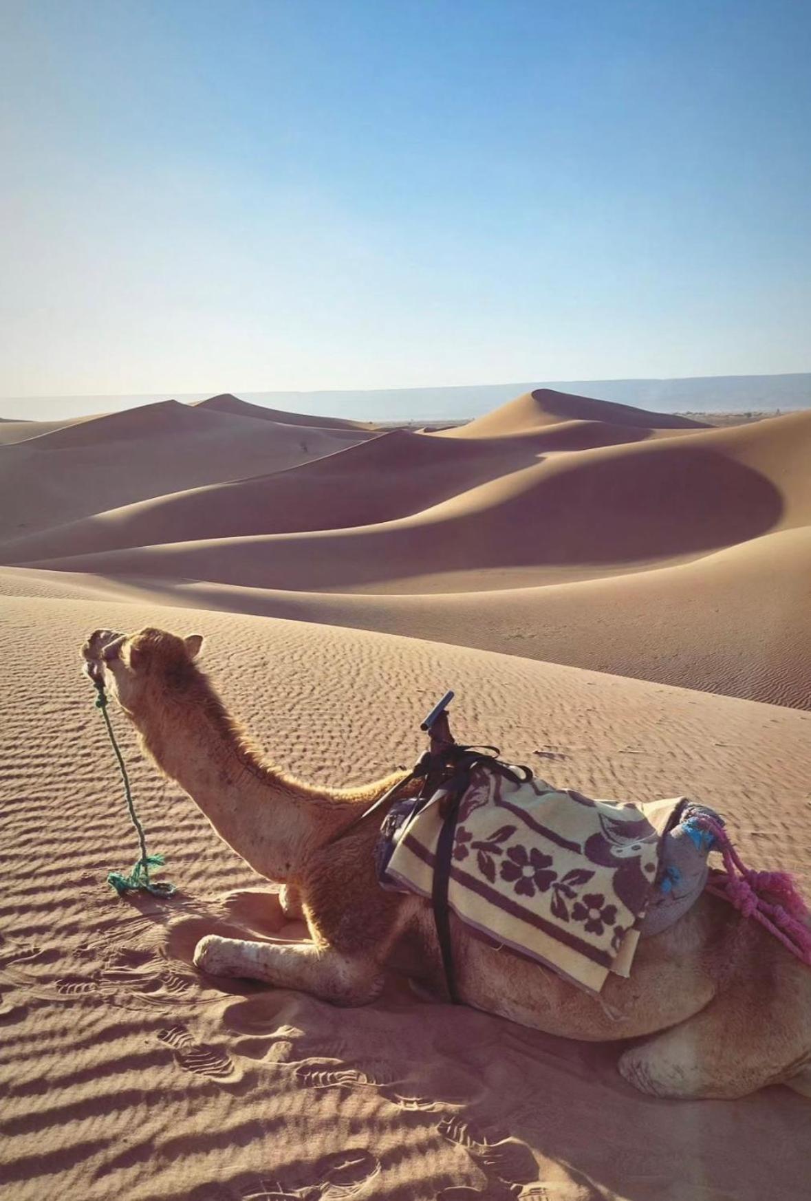 Desert Chegaga Luxury Camp El Gouera 外观 照片